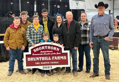 Shorthorn show at Canadian Western Agribition